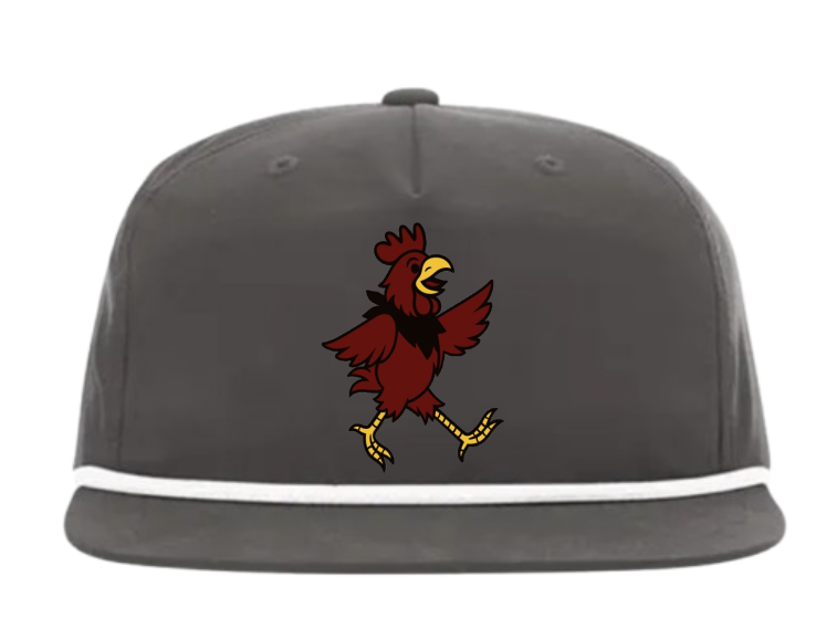 JUST IN* Dancing Gamecocks Hat